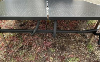 Neu: unsere PVT-Module res-PV++ auf begrünten Dächern = Klimaschutz³